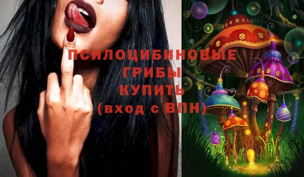 МДПВ Балахна