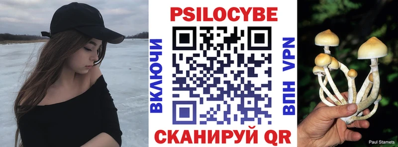 Псилоцибиновые грибы MAGIC MUSHROOMS  купить  сайты  маркетплейс какой сайт  Кондрово 